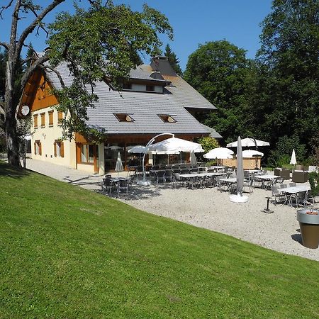 Domaine De La Sapiniere 호텔 Thorens-Glières 외부 사진